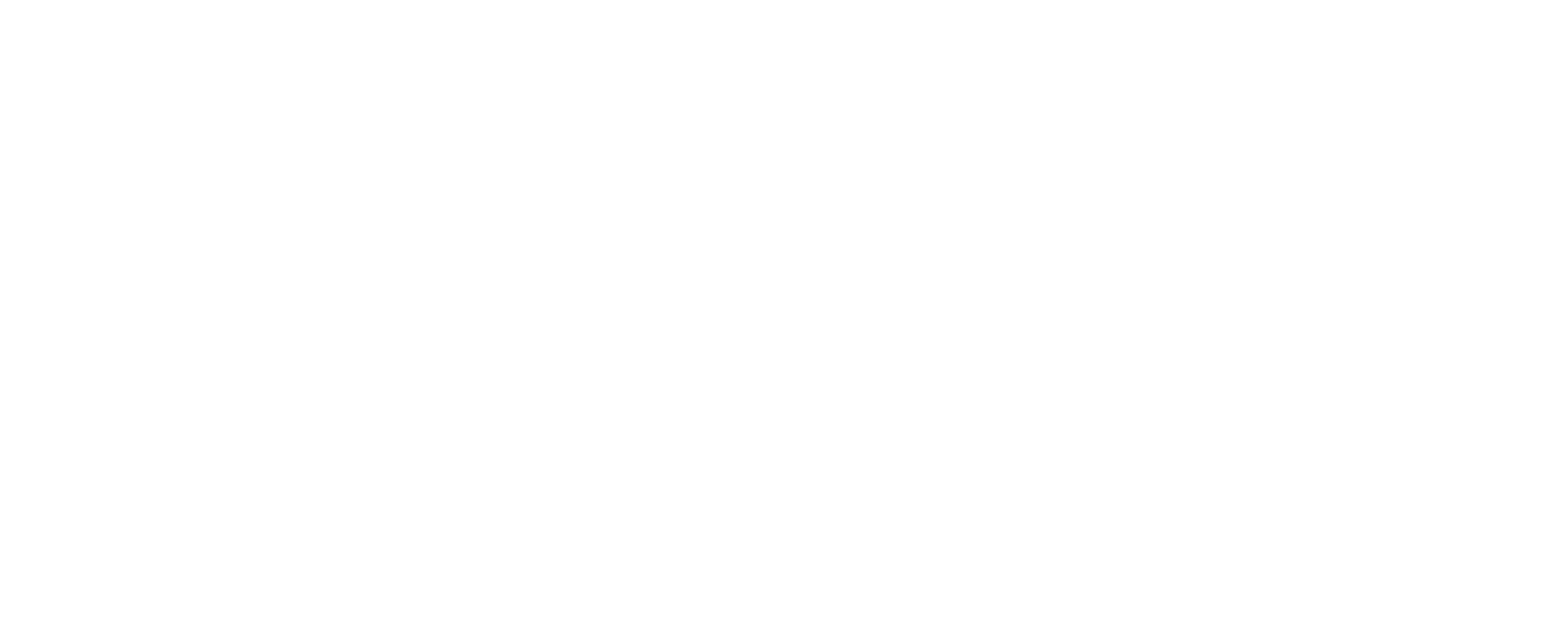 EDITIONS NOIRE POINTÉE